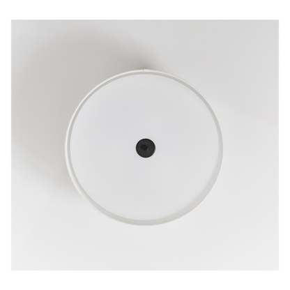 Cordtlandt Large Semi Flush Mount