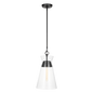 Atlantic Slim Pendant