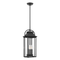 Wellsworth Pendant