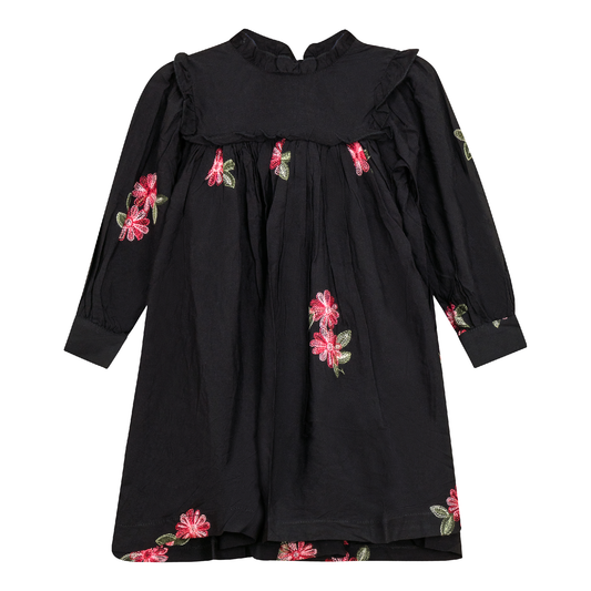 Woven Embroidered Dress