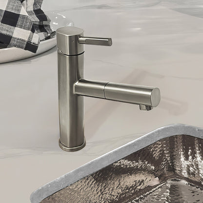 Waterhaus Lead-Free Solid Stainless Steel, Single Hole, Single Lever Kitchen Faucet with Pull-out Spray Head