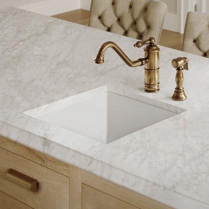 Whitehaus Collection Undermount/Drop-in Fireclay Kitchen Sinks, Stainless Steel Grid Included