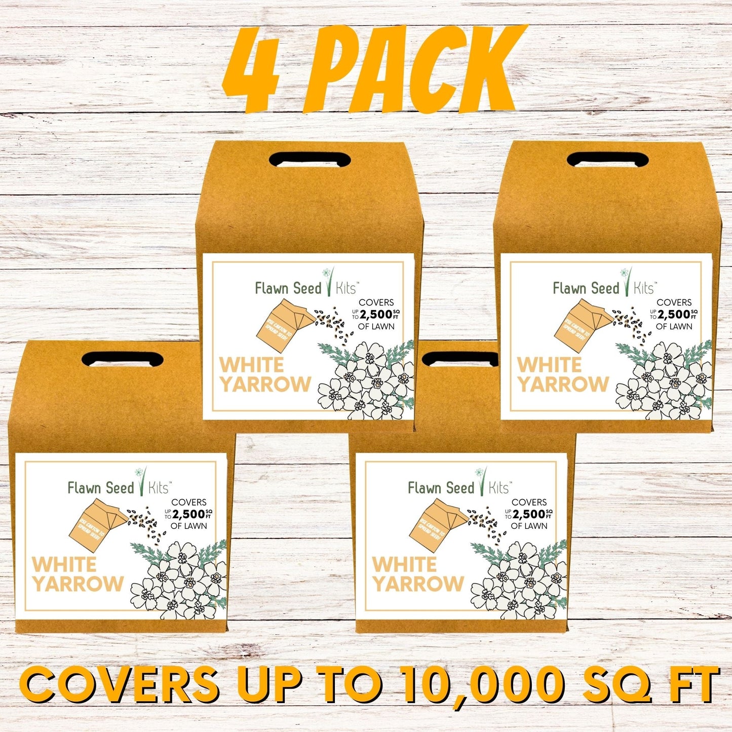 White Yarrow Eco-Friendly Seeding Kit