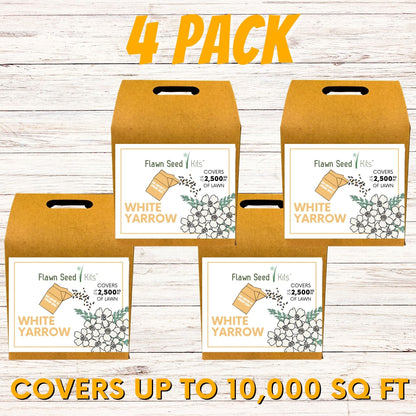 White Yarrow Eco-Friendly Seeding Kit