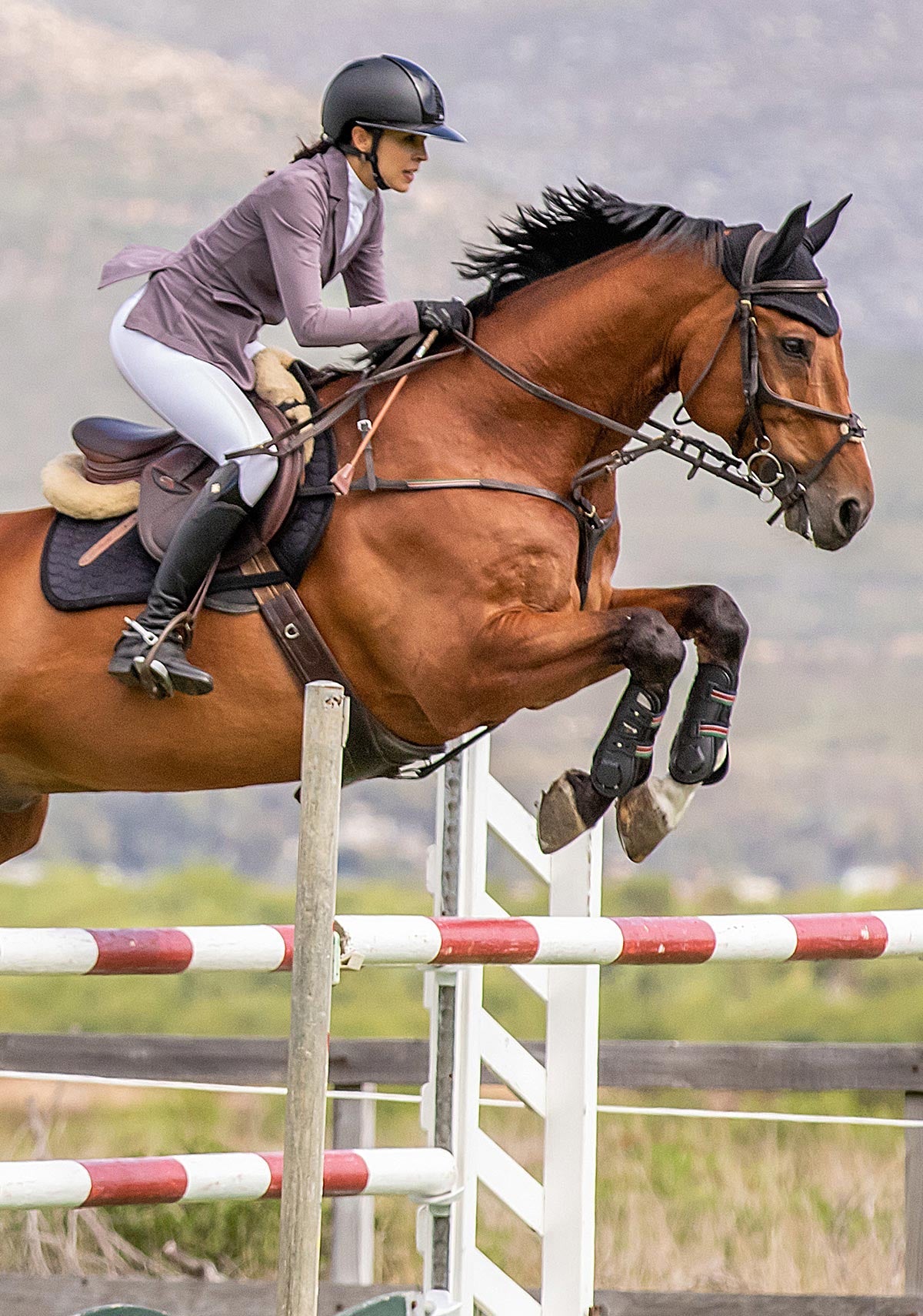 Lavender Poppy Seed Hunter Show Jacket