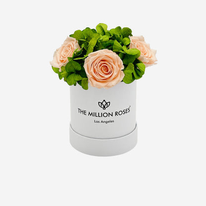 Basic White Garden Box | Peach Roses