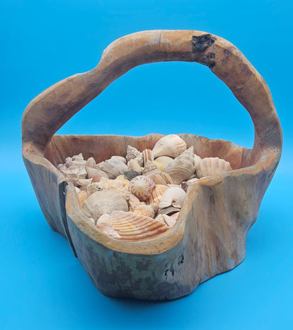 Wooden Basket with Seashells – Natural Coastal Décor Collectible Display Piece