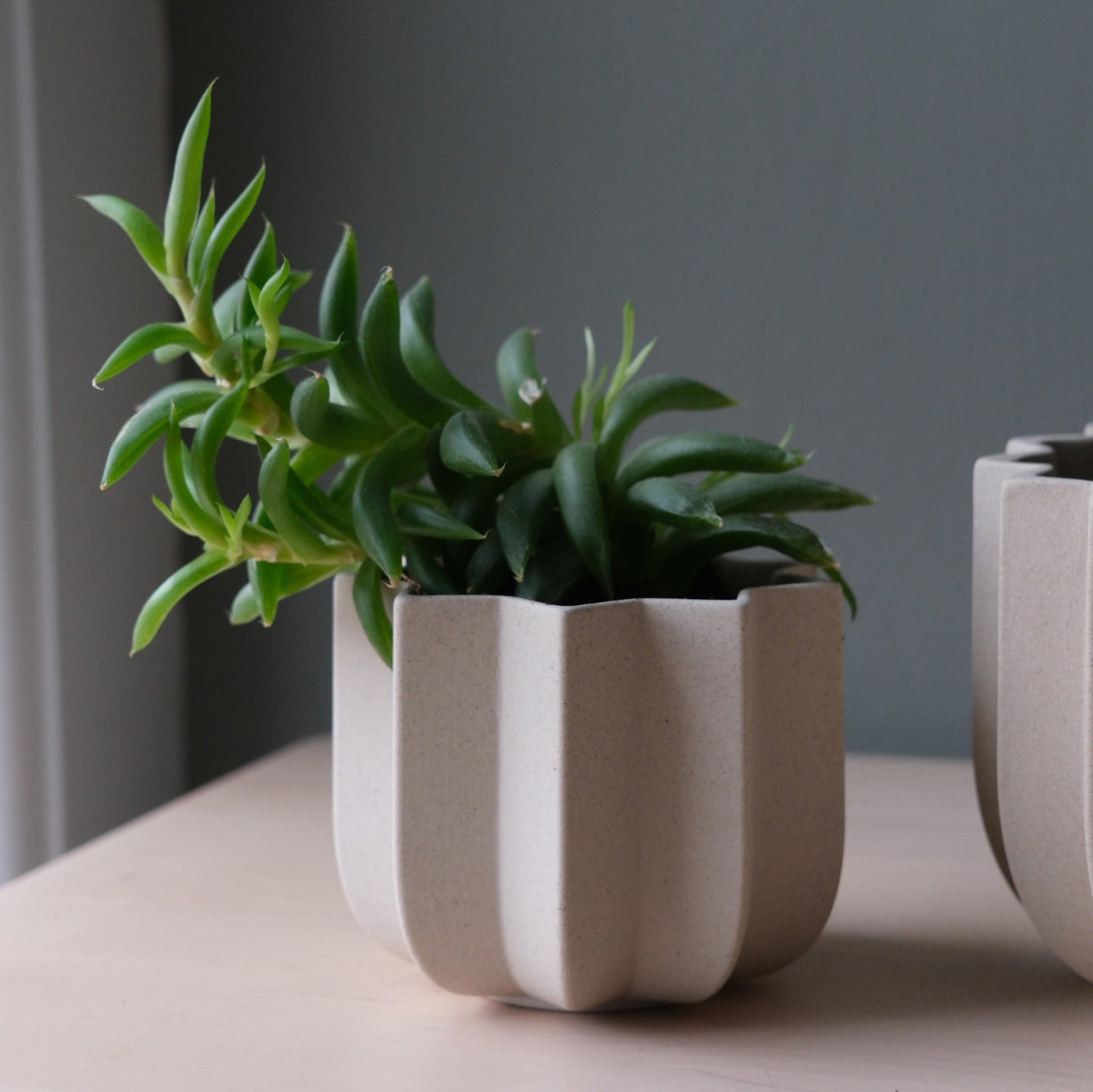 Wrap Planter