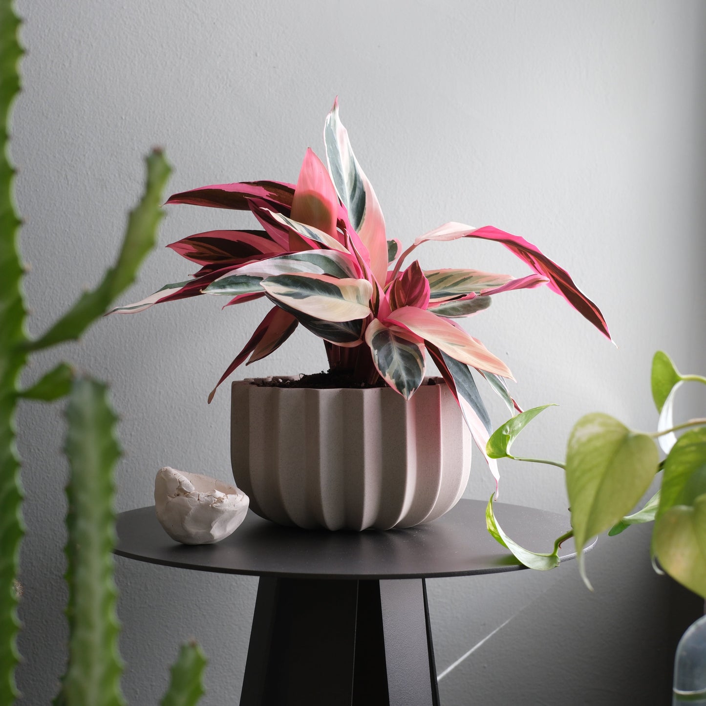 Wrap Planter