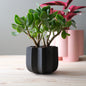 Wrap Planter