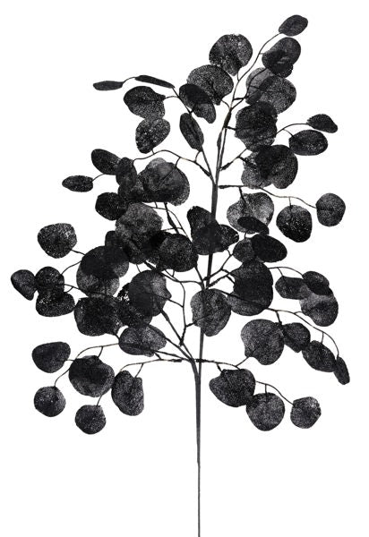 32"L FABRIC SILVER DOLLAR SPRAY BLACK