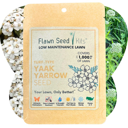 Yaak Yarrow 'Turf-Type' Seed