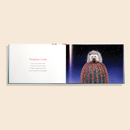 You Stole My Name Too