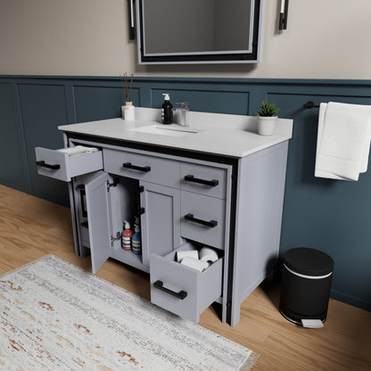 Ziva 48 in W x 22 in D Dark Grey Bath Vanity