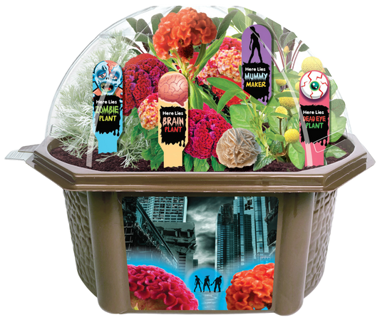 Zombie Apocalypse Biosphere Terrarium