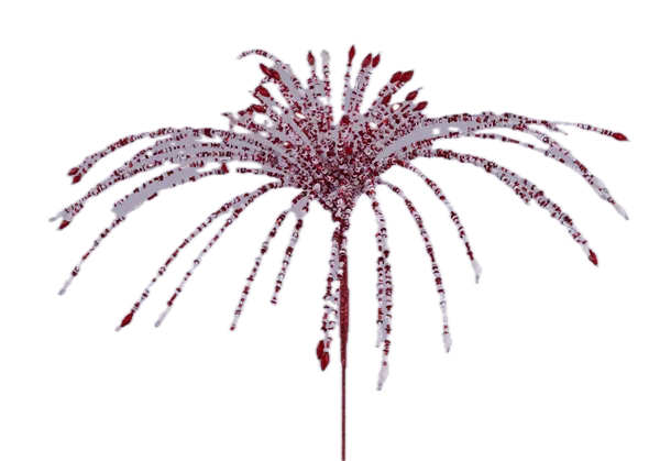 24"L STARBURST FOUNTAIN SPRAY RED/WHITE