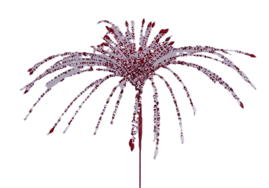 24"L STARBURST FOUNTAIN SPRAY RED/WHITE