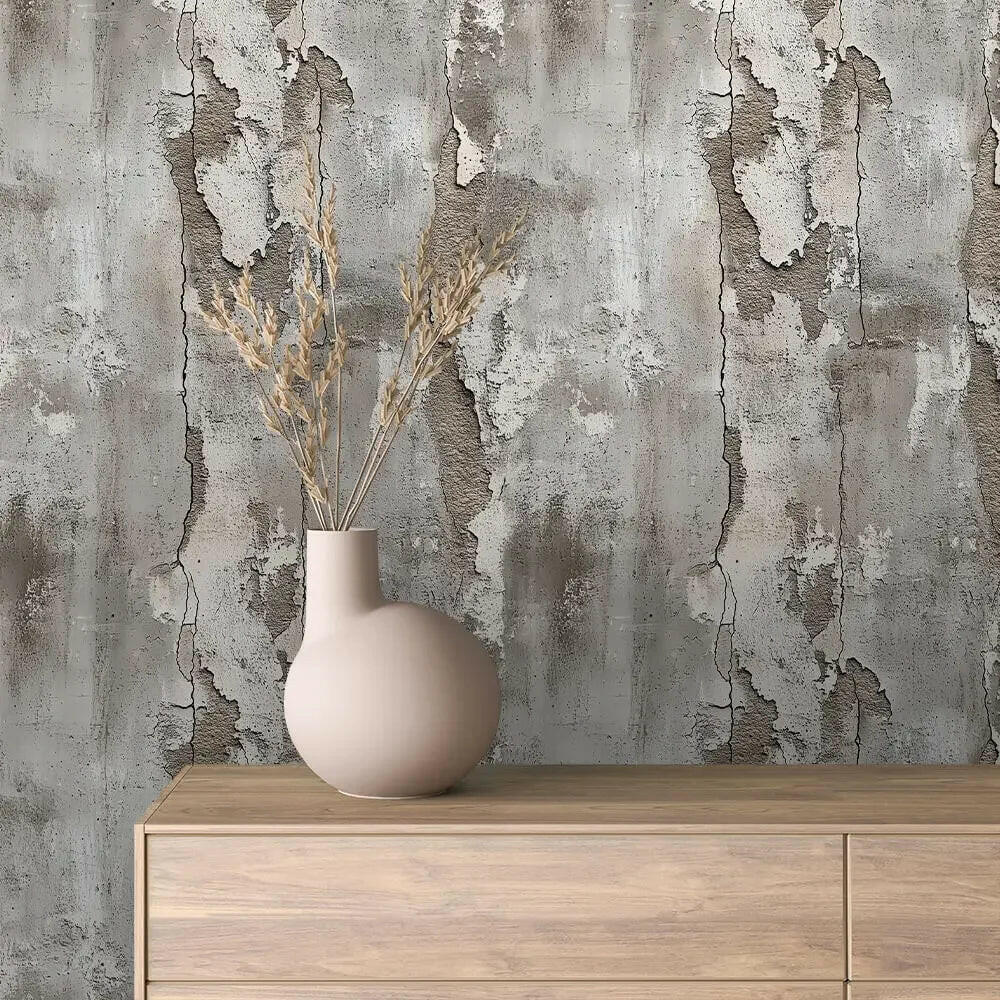 Artisan Plaster Fissure Mural