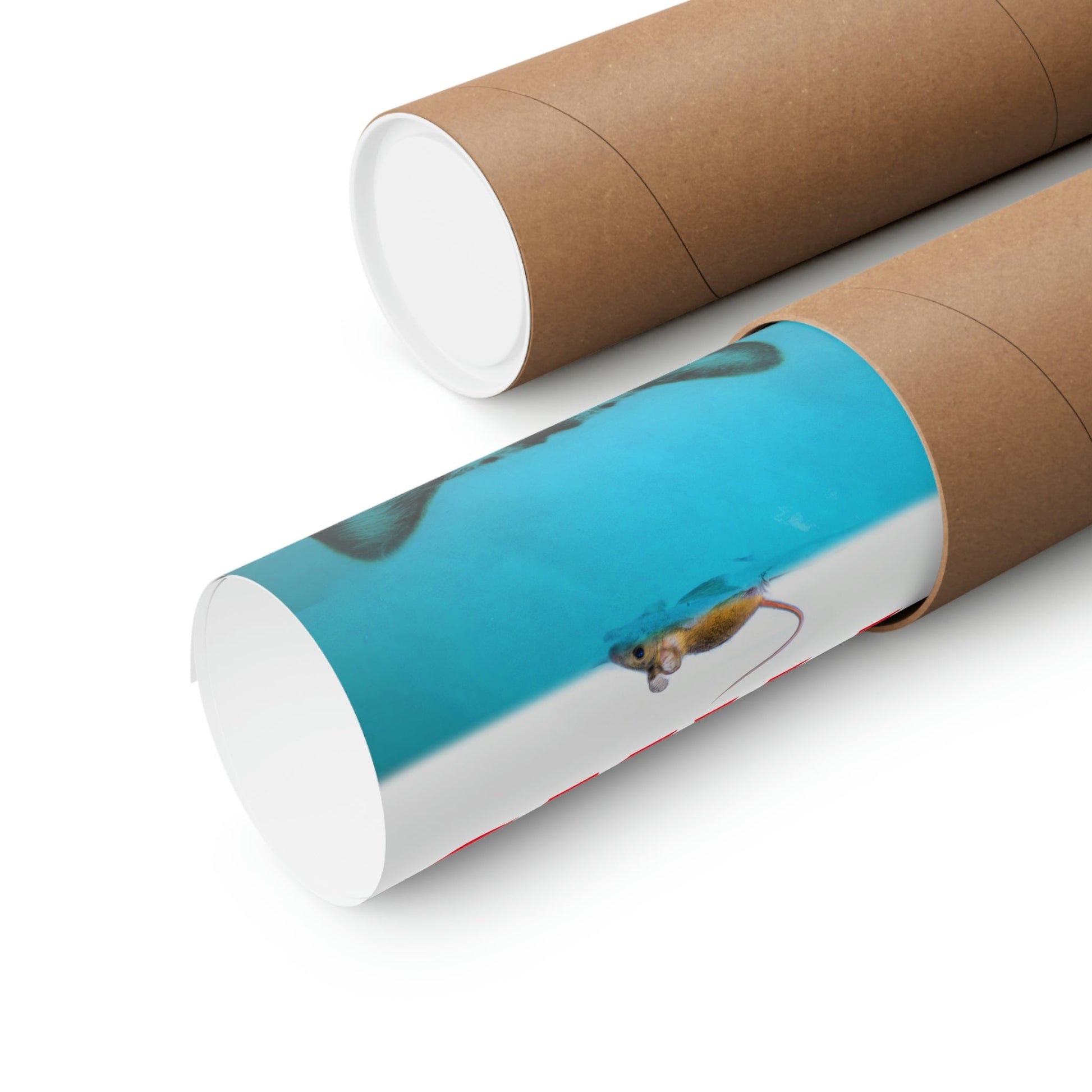 Two cardboard tubes with a printed product on a white background