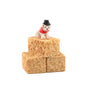 Farm Puppy on Hay Bales