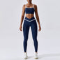 Quick Dry Fitness Leggings and Top for Women