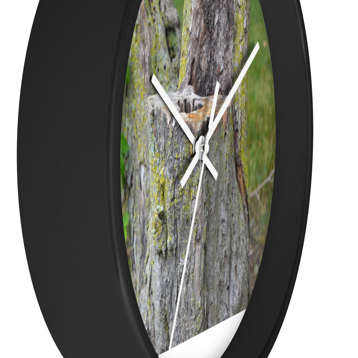 Tree Stump Wall clock