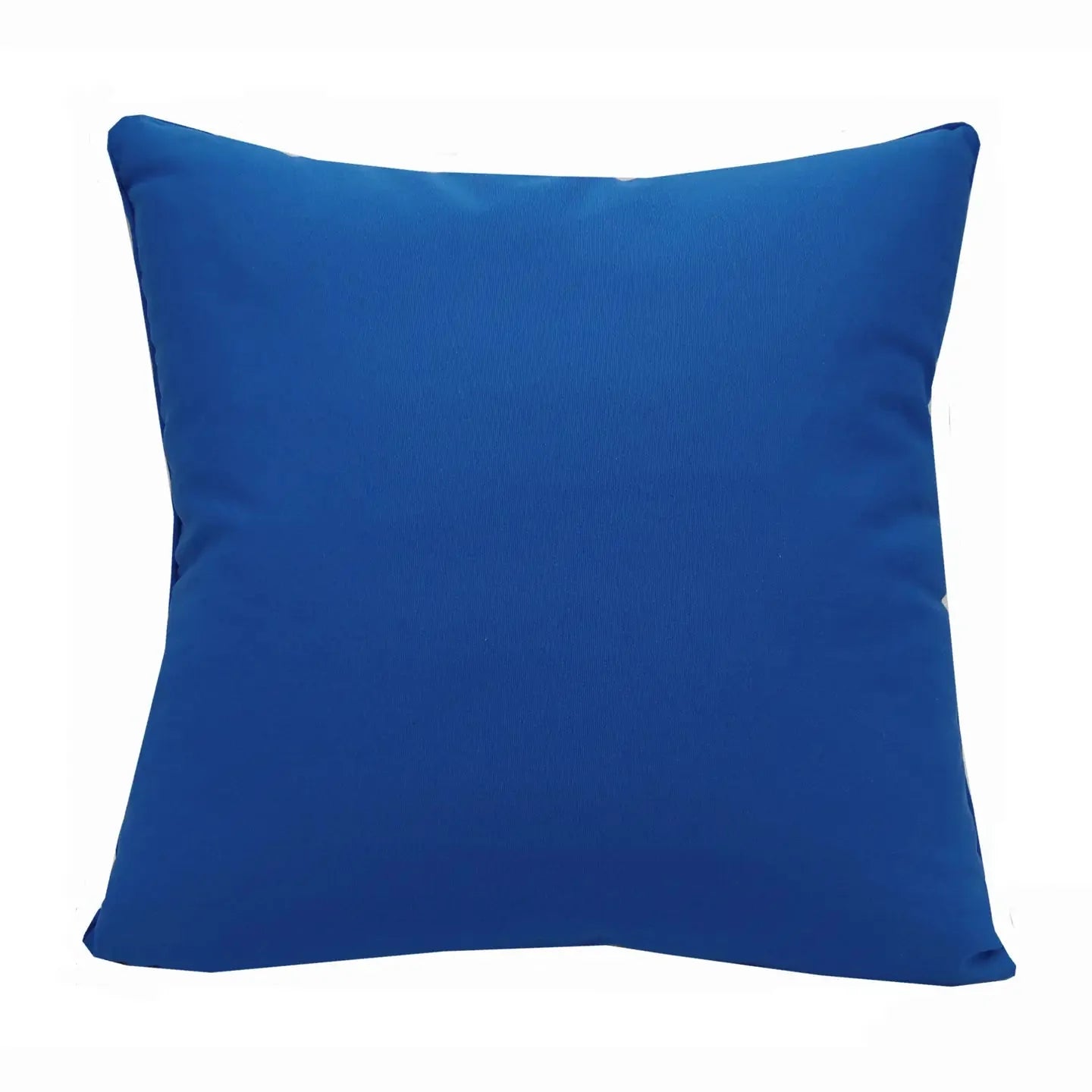 Agave-Tequila Maker Pillow Indoor/Outdoor Pillow