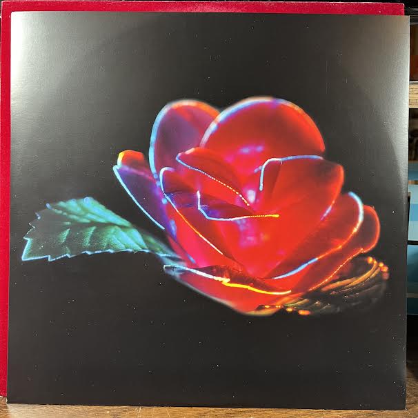 Depression Cherry (VINYL) | Near Mint- (NM-) Near Mint- (NM-)