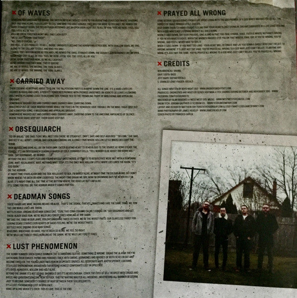 Black Dogs (CLEAR 10" VINYL) | Near Mint (NM or M-) Mint (M)