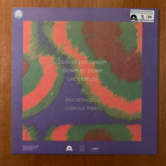 kiwi house: ONE (TURQUOISE VINYL) | Mint (M) Mint (M)