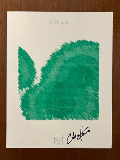 kiwi house: ONE (TURQUOISE VINYL) | Mint (M) Mint (M)