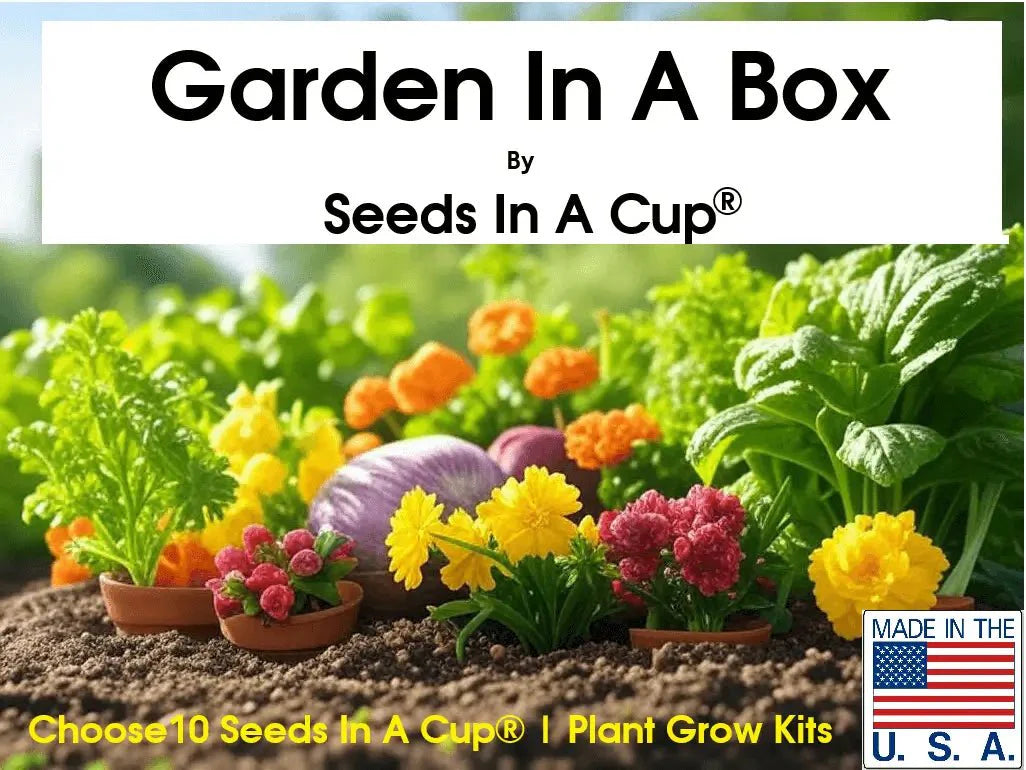 American Ash | Tree Grow Kit  |  Seeds In A Cup®