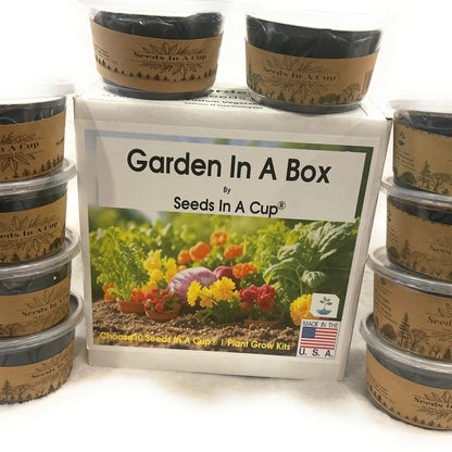 American Ash | Tree Grow Kit  |  Seeds In A Cup®