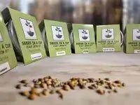 American Wisteria | Plant Seed Starter Grow Kit | Seeds In A Cup®