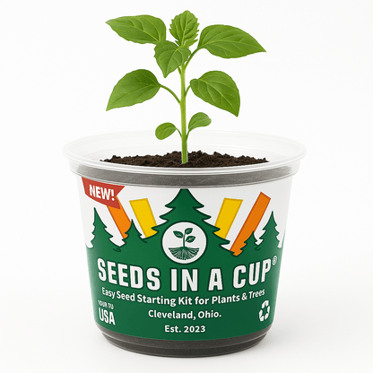 Seeds In A Cup® Plant Grow Kits