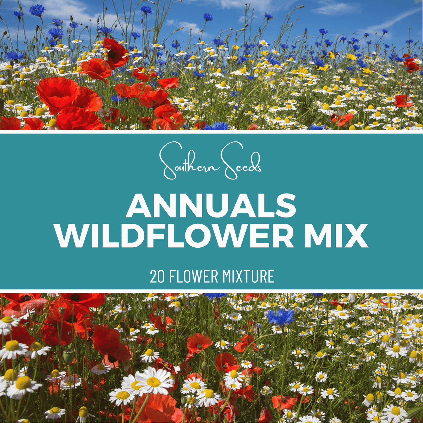 Annuals Wildflower Seed Mix (20 Varieties) – 1,000 Seeds