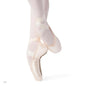 Apogee Pointe Shoe