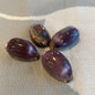 Arabian Cowrie Shell- Purple Top