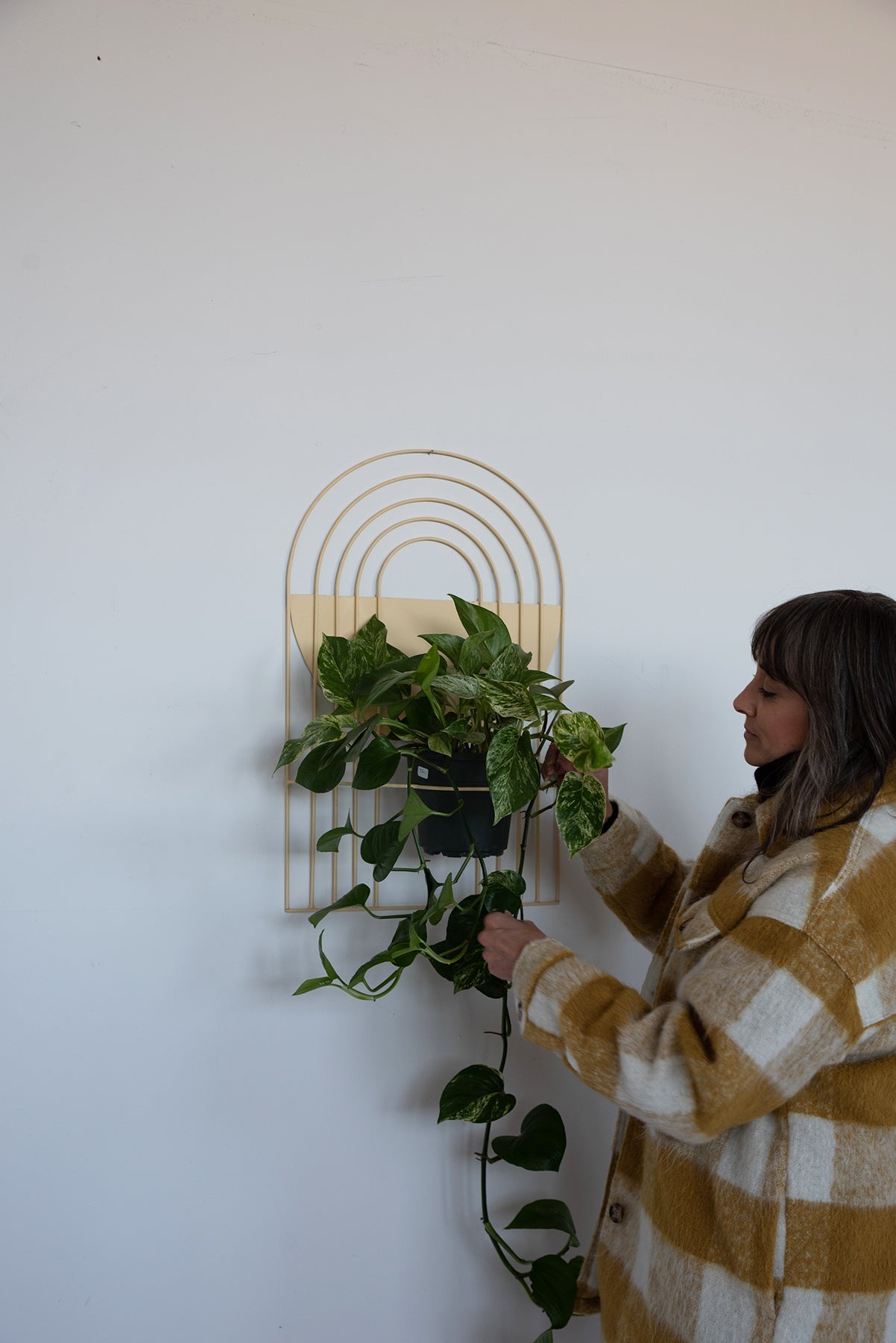 Arches Wall Planter