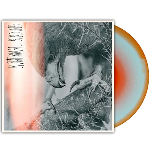 (PRE-ORDER 10/3/25) Nocturnal Birding (VINYL) | Mint (M) Mint (M)