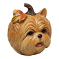 Autumn Pup Pumpkin - Yorkie Edition