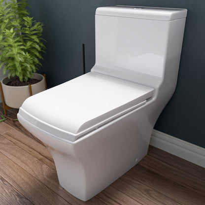 EAGO TB356 DUAL FLUSH ONE PIECE  HIGH EFFICIENCY LOW FLUSH CERAMIC TOILET