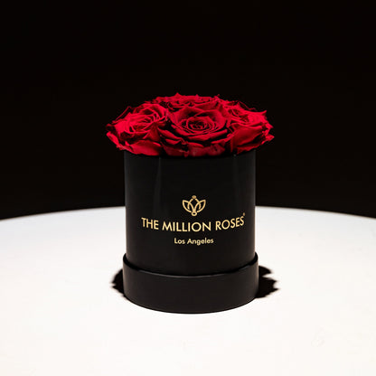 Basic Black Box | Magenta & Burgundy Roses