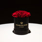 Basic Black Box | Magenta & Burgundy Roses