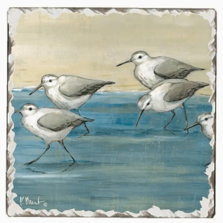 Beach Vibes Assorted Single Coasters