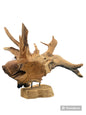 Big Wooden Fish Sculpture