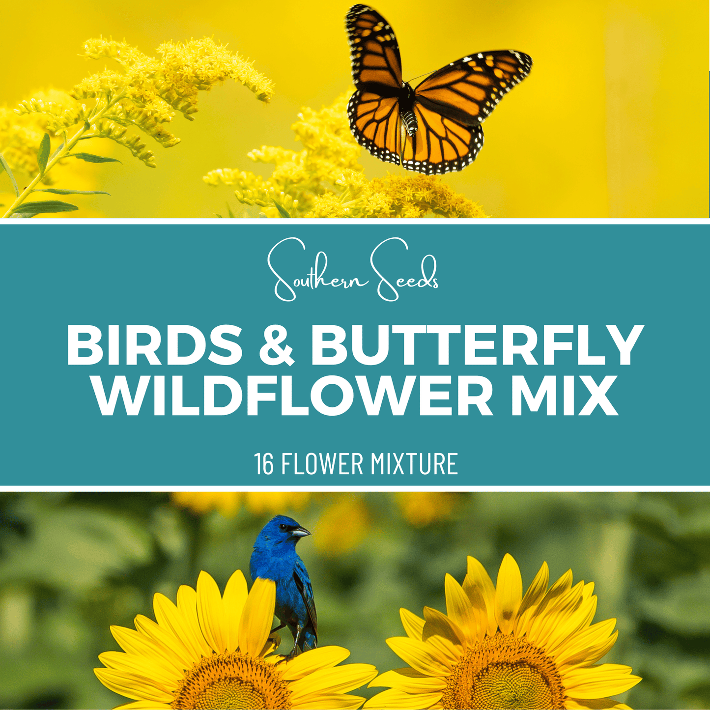 Birds & Butterfly Wildflower Seed Mix (14 Varieties) – 1,000 Seeds