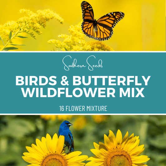Birds & Butterfly Wildflower Seed Mix (14 Varieties) – 1,000 Seeds
