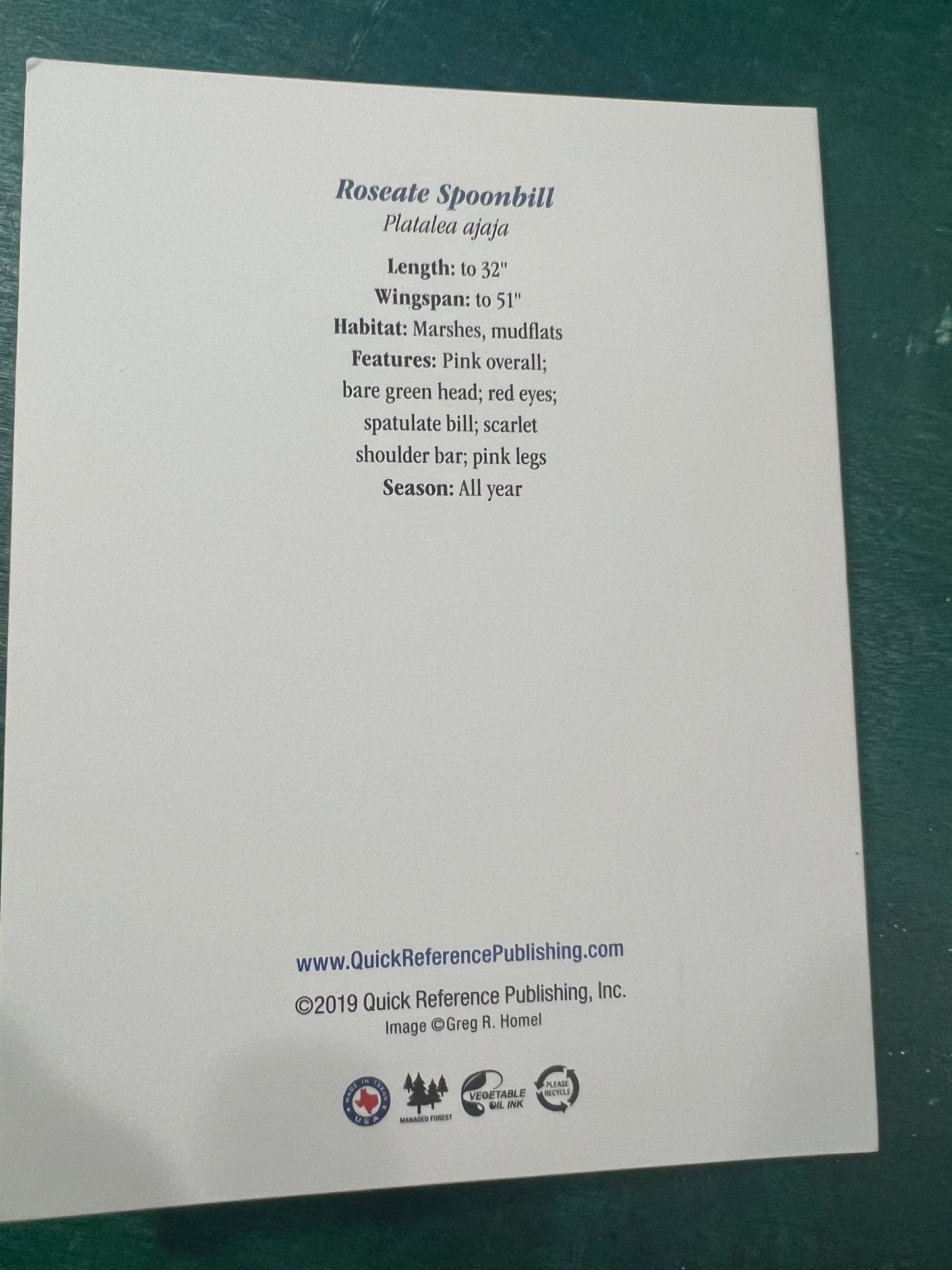 Birds of Texas Coast Note Cards