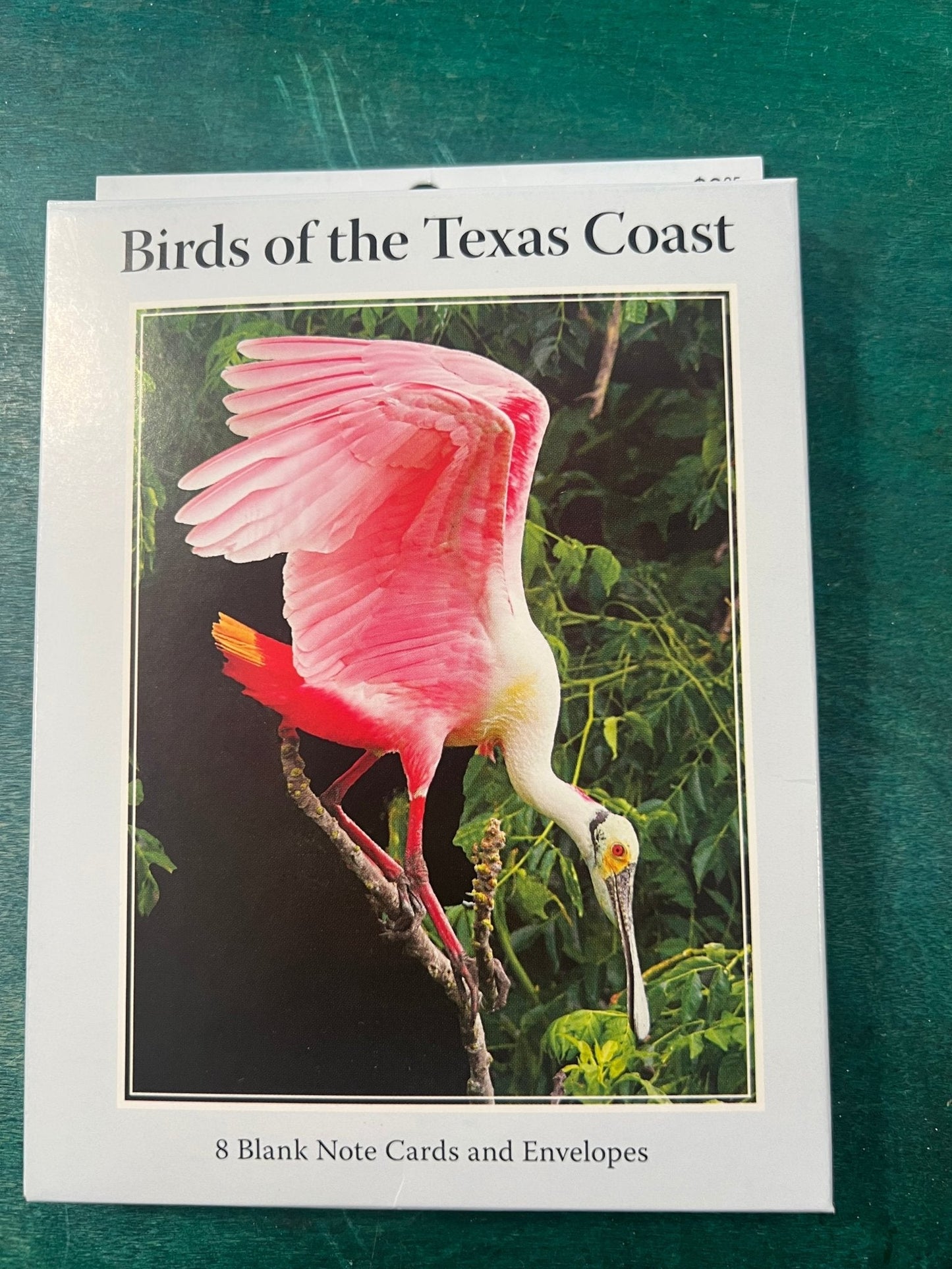Birds of Texas Coast Note Cards